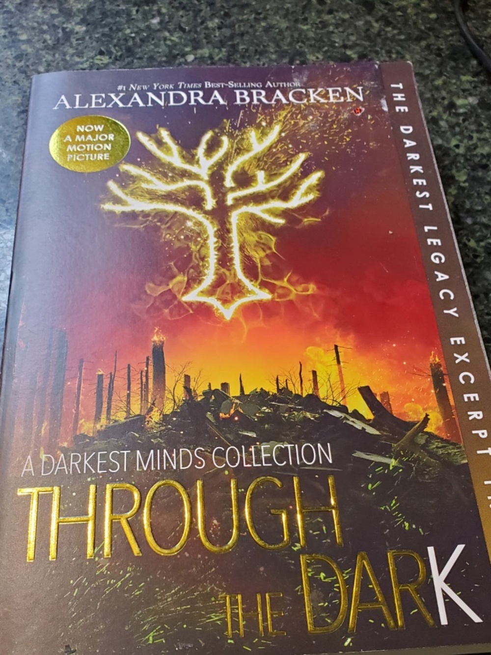 Book through the dark by Alexandra bracken